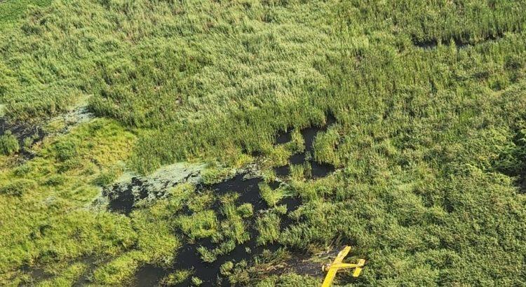 Avioneta se estrella y encuentran sin vida al piloto en Colima
