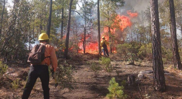 Colima registra 63 incendios forestales y 1,966 hectáreas dañadas