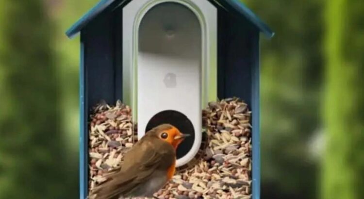 Bird Buddy revoluciona la observación de aves con identificación por IA