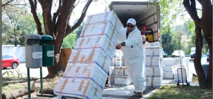 Llegan 920 cajas de colección osteológica de salvamento arqueológico del Tren Maya a la DAF