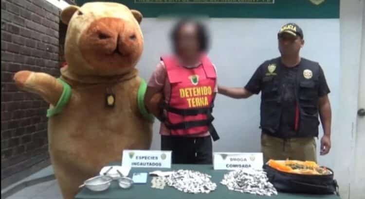 Policía disfrazado de capibara captura a traficante de drogas