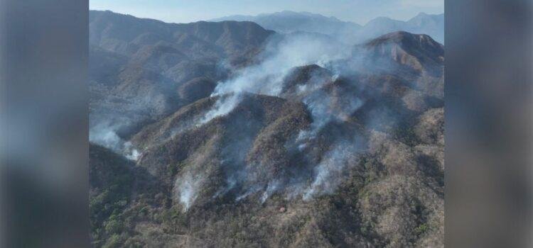 Primer incendio de la temporada 2025 es combatido en Minatitlán
