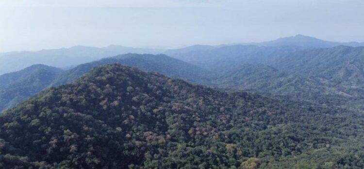 Inversión de 3 mdp para la conservación del Corredor Biológico Canoas-Manantlán en Colima