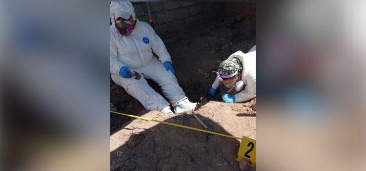 Localiza Fiscalía fosa clandestina en Colima