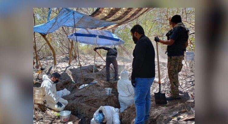En Colima han hallado 308 fosas clandestinas