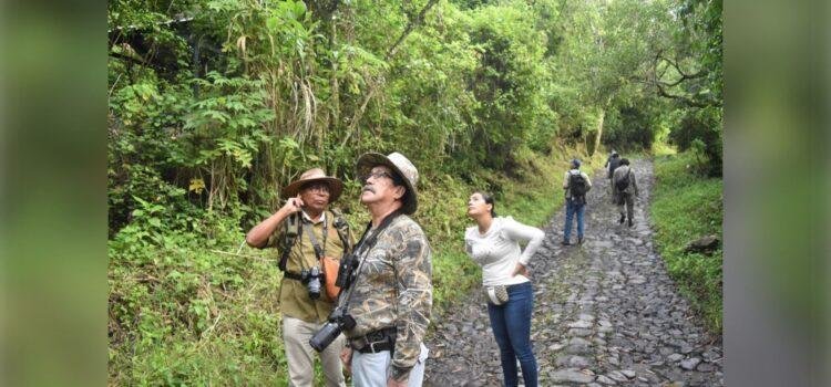 Colima espera más de 75 mil turistas