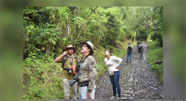 Colima espera más de 75 mil turistas
