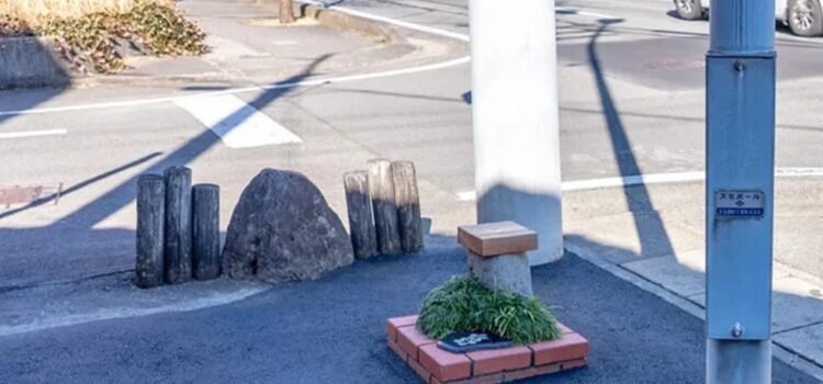 Japón rompe récord mundial con el parque más pequeño del mundo