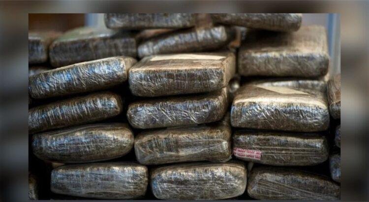 Operativo en Tecomán, decomisan 150 kilogramos de droga en inmueble cateado
