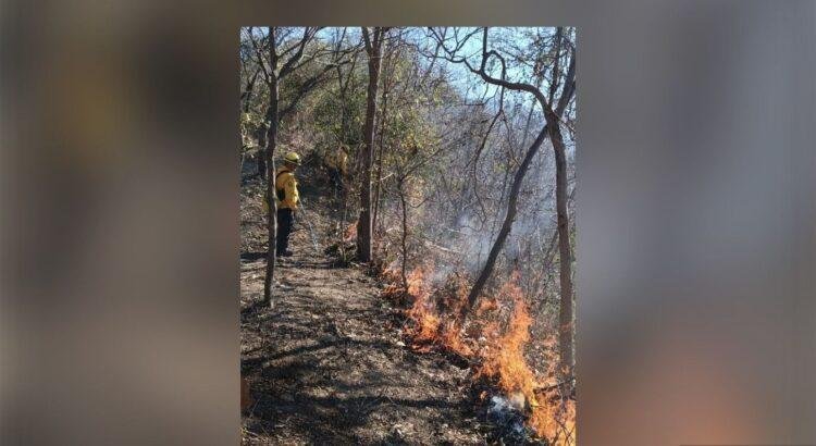 Avanza contención del incendio forestal en Manzanillo