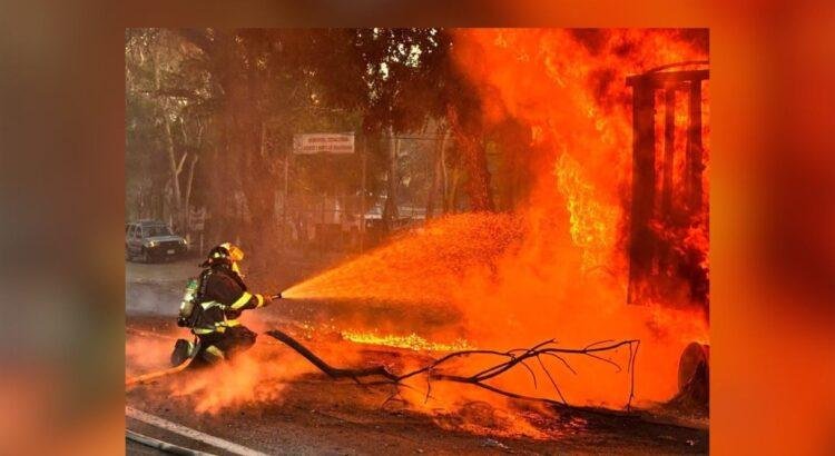Trágico accidente en la autopista Colima-Manzanillo deja un muerto