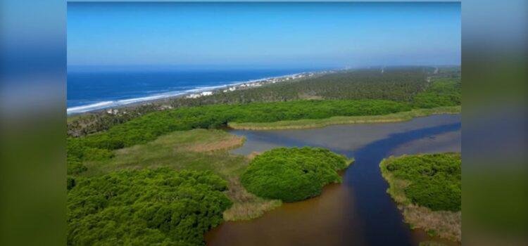 Colima aprueba más de 8.4 mdp para conservación ecológica