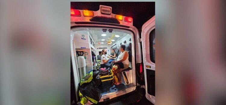 Siete personas lesionadas por picaduras de abejas en Colima