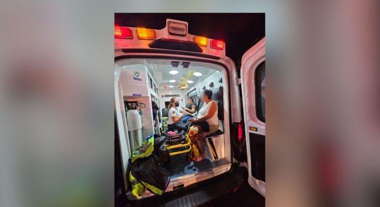 Siete personas lesionadas por picaduras de abejas en Colima