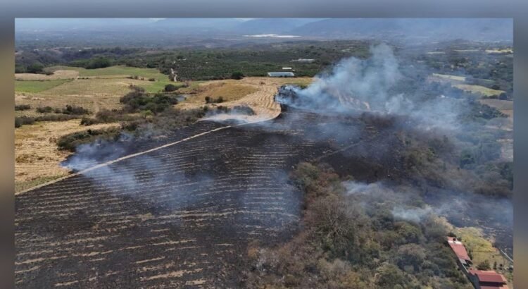 Más de 300 hectáreas afectadas por incendios en Colima