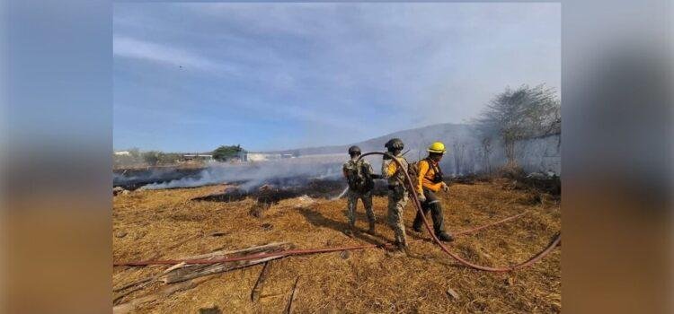Incendios forestales en Colima 2025, más de mil hectáreas afectadas