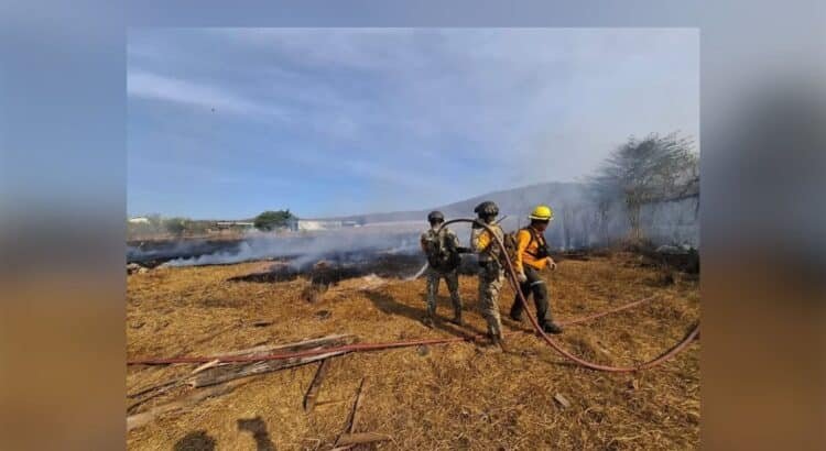 Incendios forestales en Colima 2025, más de mil hectáreas afectadas