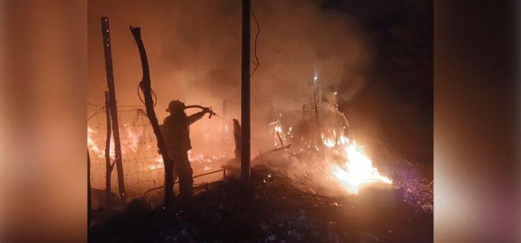 Más de mil hectáreas afectadas por 67 incendios forestales en Colima Más de mil hectáreas afectadas por 67 incendios forestales en Colima