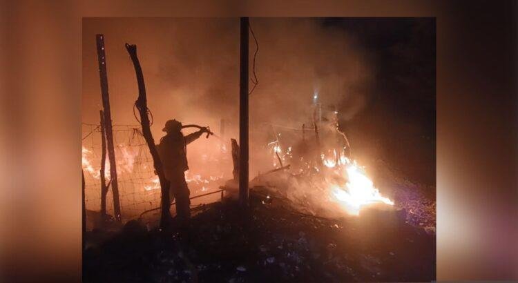 Más de mil hectáreas afectadas por 67 incendios forestales en Colima