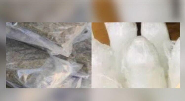 Cateo en Manzanillo, incautan 900 bolsas de drogas