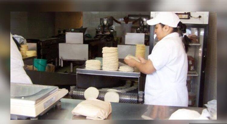 Colima desconoce plan federal para bajar precio de tortilla