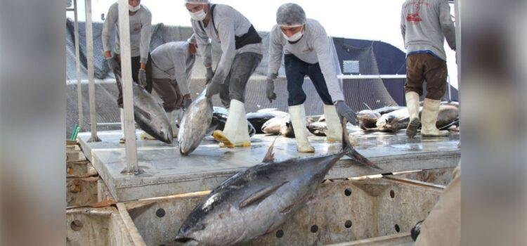 Pesca ilegal persiste en costas de Colima