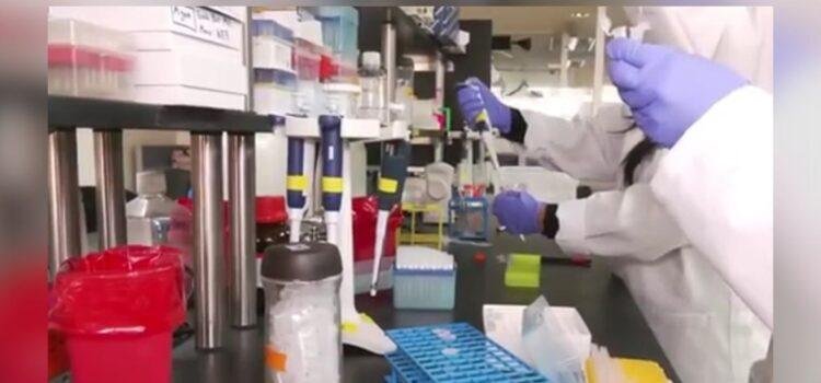 Laboratorio genético en Colima, colectivos de desaparecidos esperan eficacia