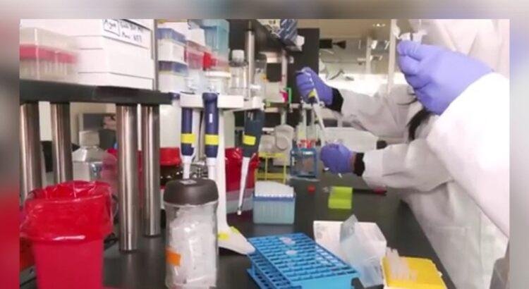Laboratorio genético en Colima, colectivos de desaparecidos esperan eficacia