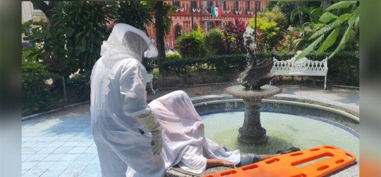 Tres personas lesionadas tras ataque de abejas en Colima