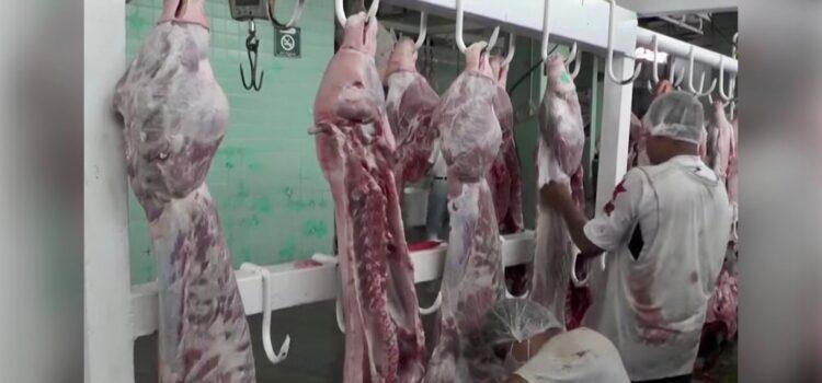 Colima intensifica vigilancia en la producción de carne 