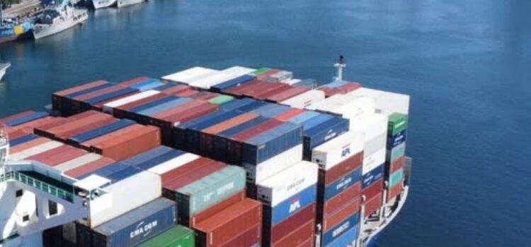 Ambientalistas critican omisión de MIA del Puerto de Manzanillo