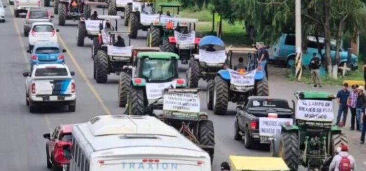 Crisis del limón moviliza a productores de Colima en paro nacional