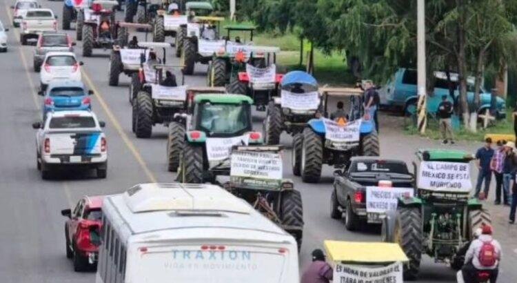 Crisis del limón moviliza a productores de Colima en paro nacional Crisis del limón moviliza a productores de Colima en paro nacional