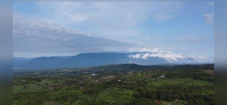 Infocol ordena a Imades entregar información ambiental de interés público Infocol ordena a Imades entregar información ambiental de interés público
