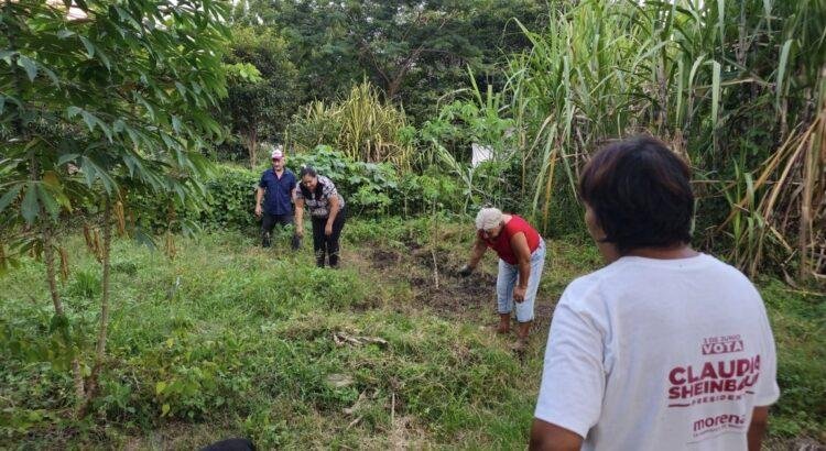 Importaciones agrícolas generan incertidumbre y pérdidas para el campo en Colima