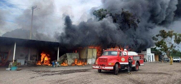 Incendio en empacadora de plátano en Tecomán, Colima