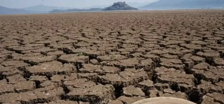 Cierra México el 2025 con 20.5% del territorio afectado por la sequía