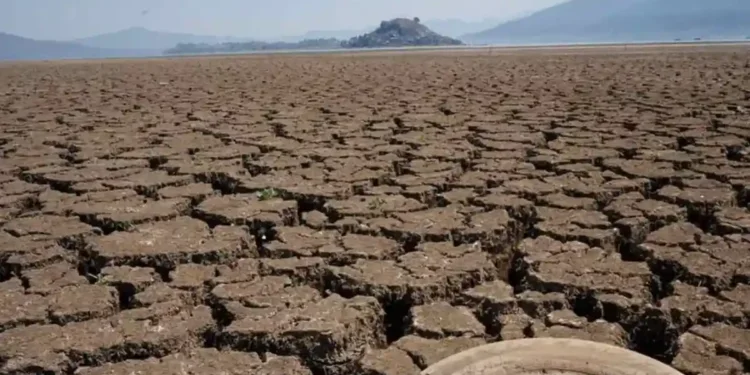 Cierra México el 2025 con 20.5% del territorio afectado por la sequía
