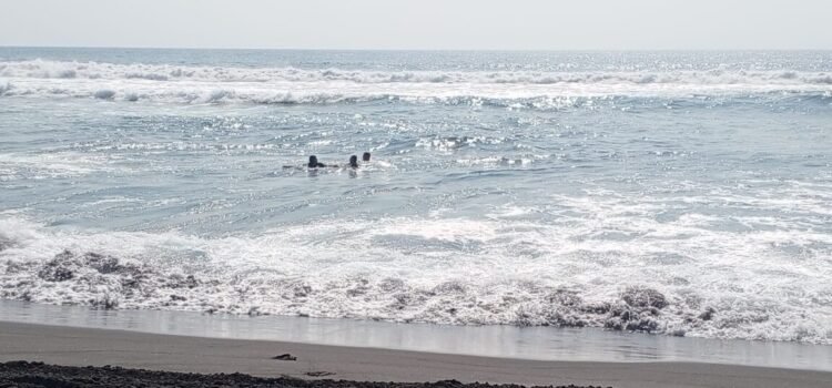 Playas de Colima cumplen normas sanitarias y se mantienen aptas para vacacionistas