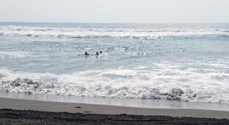 Playas de Colima cumplen normas sanitarias y se mantienen aptas para vacacionistas