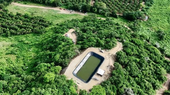 Colima impulsa plan para reactivar la economía en comunidades rurales