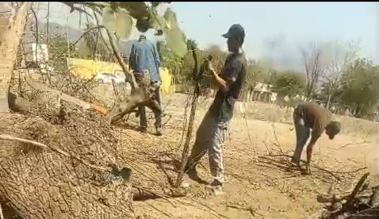 Operativo en Salagua deja detenidos y reaviva disputa por uso de área verde en Manzanillo